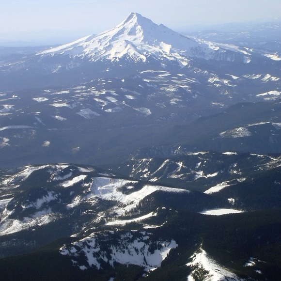 Meet your Posher, Tish - Picture 11 of 16